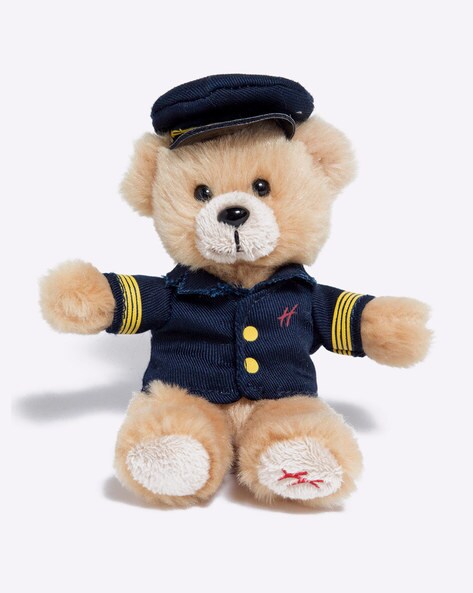 pilot teddy