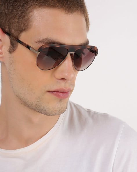 Polarised Sunglasses Brown Guess Sunglasses Buy Brown Sunglasses