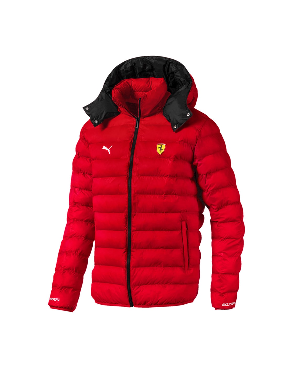 Amazon.com: Ferrari Scuderia Official Formula 1 Merchandise - Padded Jacket  - Red - Size XS : Automotive