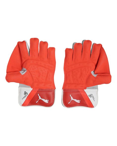 Puma evo 2 wicket keeping sales gloves