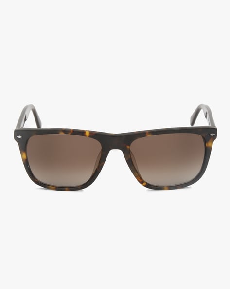 fossil brown sunglasses