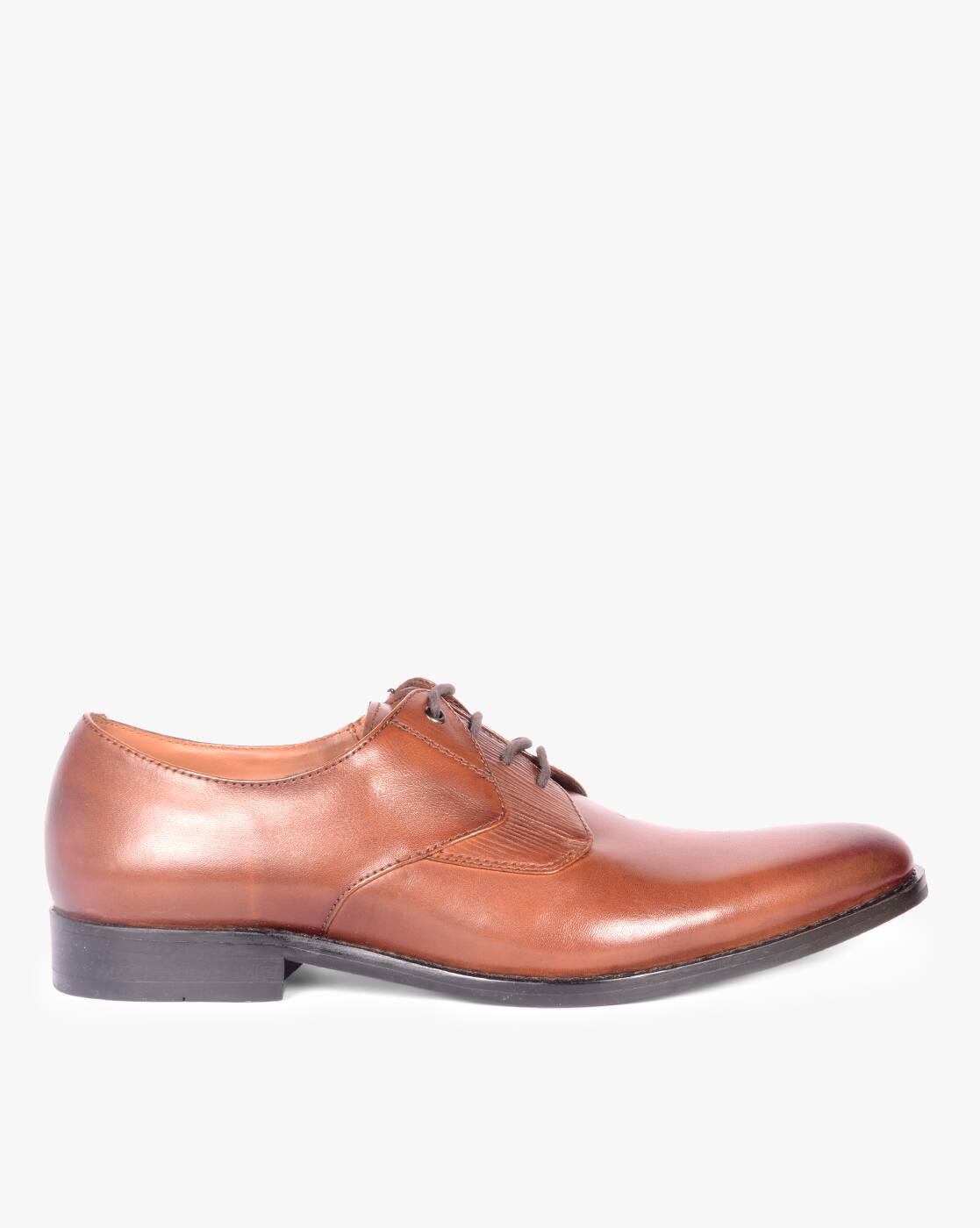 steve madden derby