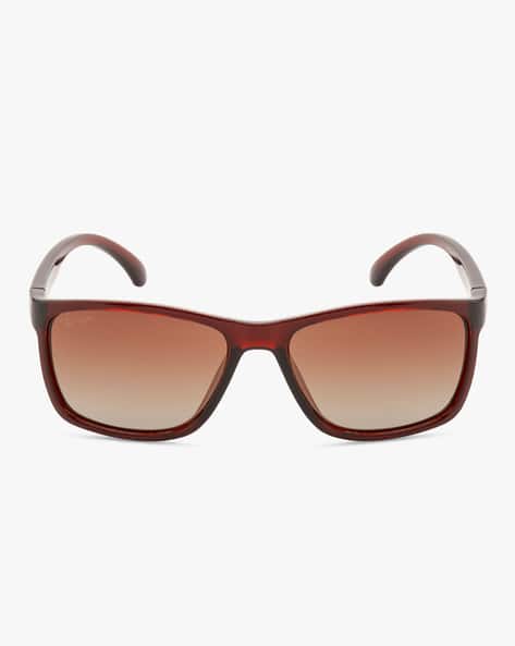 Ted Smith Full-Rim Wayfarer Sunglasses