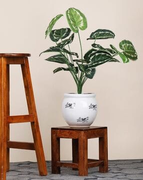 foliyaj 18 Leaf Money Plant Bunch with Floor Green Base-picture-44