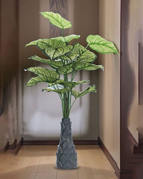 Foliyaj 18 Leaf Money Plant Bunch with Floor Base