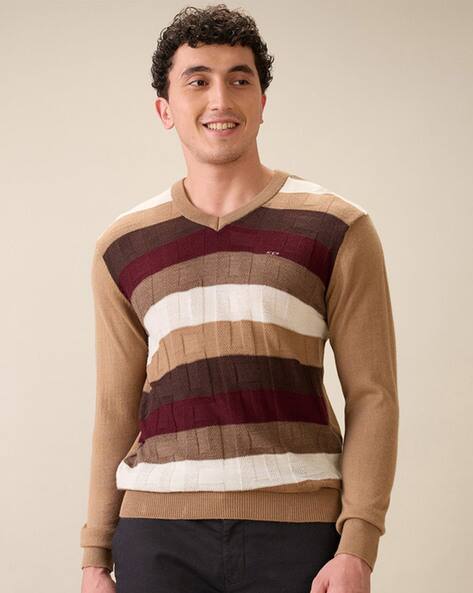 Colorplus Men Regular Fit Pullover