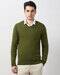 Men Regular Fit V-Neck Pullover