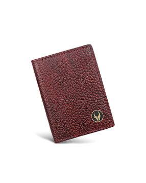 wildhorn Men Bi-Fold Wallet with Logo Applique-picture-11