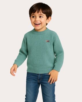 Boys Regular Fit Sweatshirt-image-20