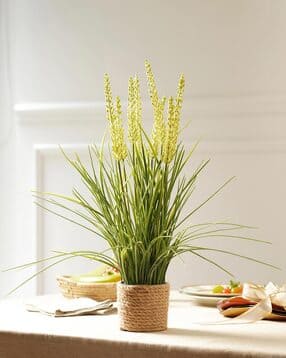 pure home and living Artificial Reed Flower In Rattan Basket-picture-42