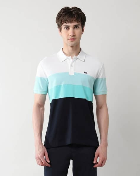 Arrow Sports Men Colourblock Regular Fit Polo T-Shirt