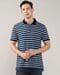 Men Striped Regular Fit Polo T-Shirt