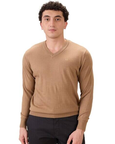 Colorplus Men Regular Fit V-Neck Pullover with Ribbed Hem
