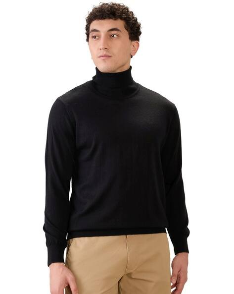 Colorplus Men Regular Fit Turtle-Neck Pullover with Ribbed Hem