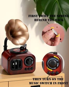 gopalvilla Charm Gramophone Music Box Showpiece-picture-36