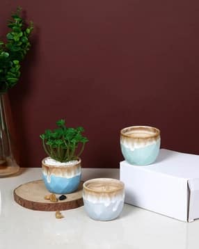 tayhaa Pack of 3 Ceramic Planters-picture-22