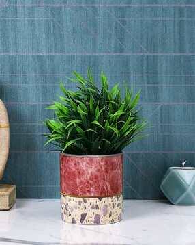 tayhaa Table Top Fusion Planter-picture-48