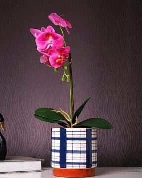 tayhaa Checkered Charm Planter-picture-22