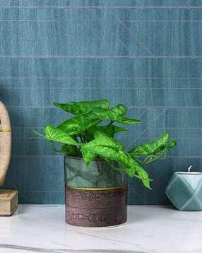 Teal and Wood Fusion Planter-image-38