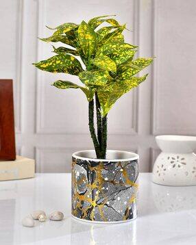 tayhaa Table Top Ceramic Planter-picture-33