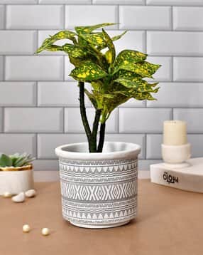 Geometric Pattern Table Top Planter-image-27