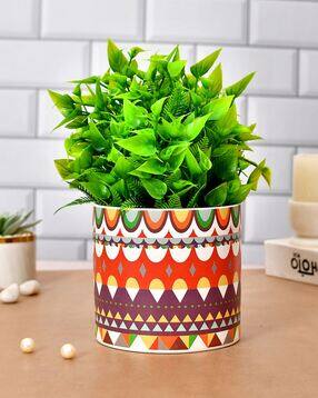 tayhaa Ceramic Garden Delight Planter-picture-18