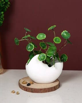  Sculpted Ceramic Planter