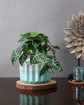 Azure Serenity Planter-image-40