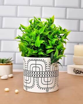 Geometric Pattern Table Top Ceramic Planter-image-28
