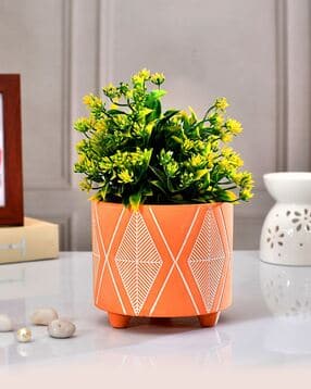 tayhaa Ceramic Indoor Planter-picture-17