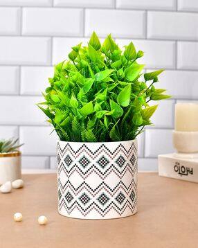tayhaa Modern Indoor Ceramic Planter-picture-13