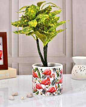 Flamingo Hue Ceramic Planter-image-31