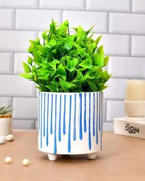 Handcrafted Table Top Ceramic Planter-image-21