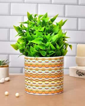 tayhaa Abstract Ceramic Planter-picture-53