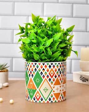 tayhaa Ceramic Garden Delight Planter-picture-19