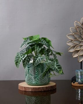 Leaf Textured Planter-image-47
