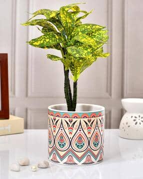 Artistic designed Ceramic Planter-image-0
