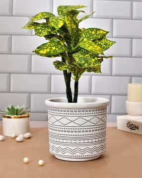 tayhaa Timeless Blossom Planter-picture-48
