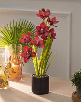 pure home and living Artificial Cymbidium in Ceramic Pot-picture-45