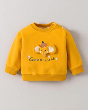 hopscotch Boys Regular Fit Round-Neck Sweatshirt-picture-19