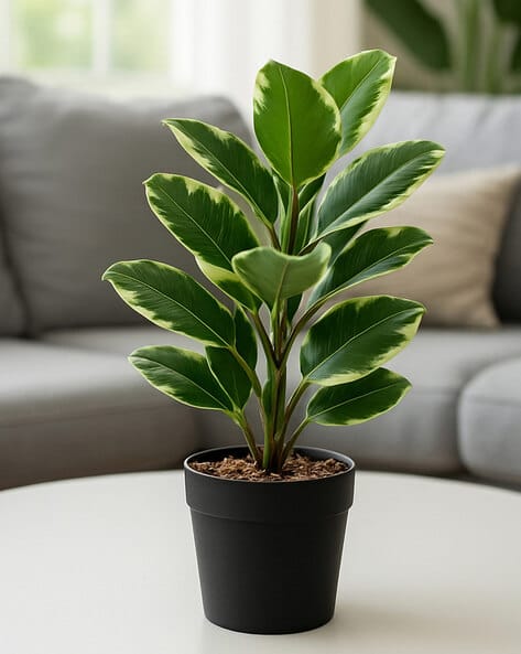 Habere India Realistic Artificial Leaves Plant with Pot