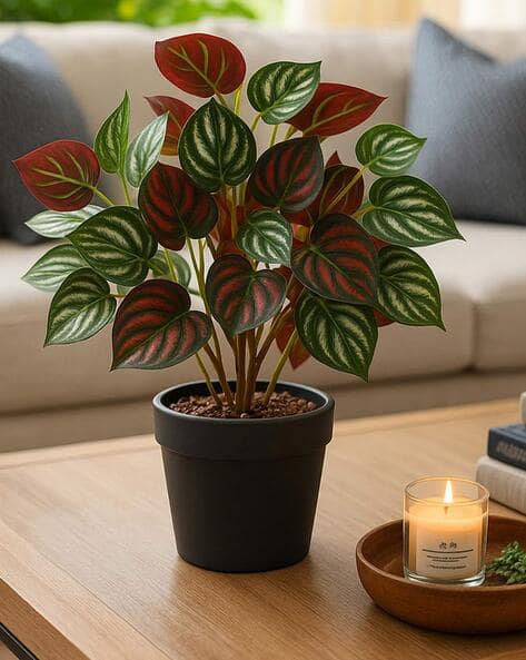 Habere India Decorative Artificial Plant with Pot