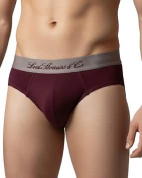 levis Men Logo Brief-picture-31