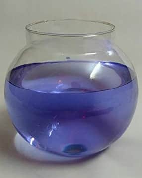 afast Glass Round Fish Pot-picture-11