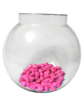 afast Glass Round Fish Pot-picture-22