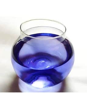 Glass Round Fish Pot