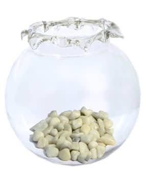 afast Glass Round Fish Pot-picture-44