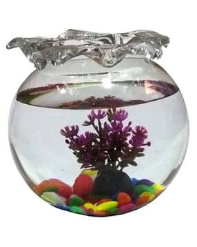 afast Glass Round Fish Pot-picture-28