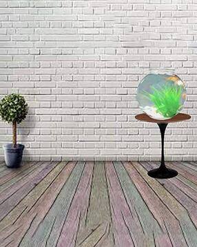 afast Pack of 2 Glass Round Fish Pot-picture-39