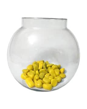 afast Glass Round Fish Pot-picture-53
